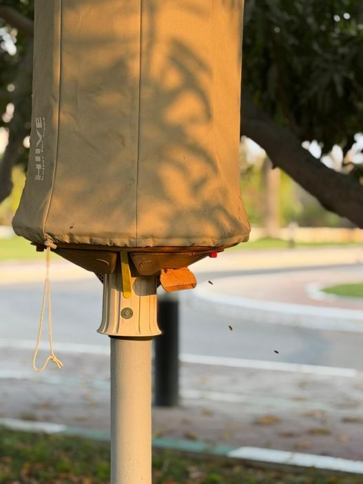  Time ∞ Focus: Held in Peace